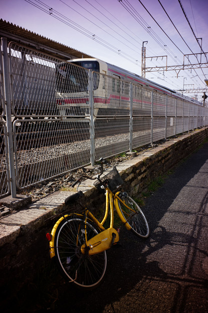 写真: 黄色い自転車