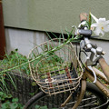 Photos: 百合と自転車