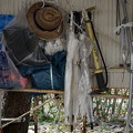 Photos: 傘と麦藁帽