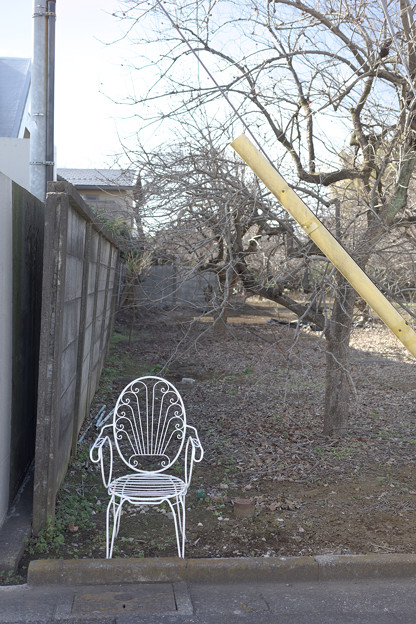 写真: 一脚の椅子