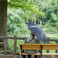 Photos: 雨の日の公園で