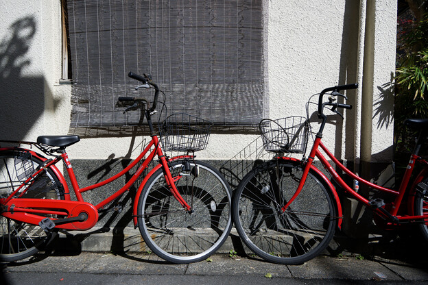 写真: 2台の自転車