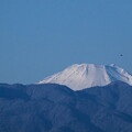 写真: 富士山とＵＦＯ？