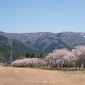 2022年4月9日、春の和佐谷風景