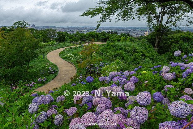 写真: 卯辰山公園 眺望の丘