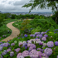 写真: 卯辰山公園 眺望の丘