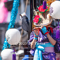 写真: 石崎奉燈祭