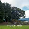 写真: 阪谷の巨岩群