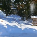写真: 冬の白山平泉寺前