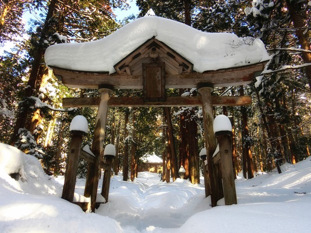 写真: 冬の拝殿前