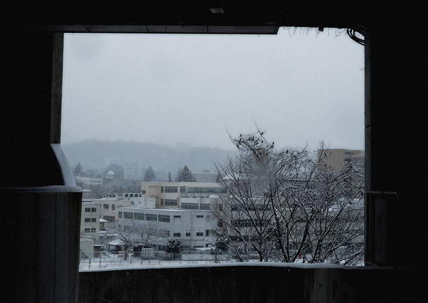 写真: 雪降る日の駐車場から