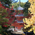 写真: 宝福寺の紅葉 11
