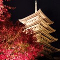 写真: 東寺のライトアップ（スマホ）
