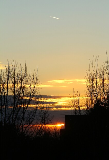 写真: 眩い夕日に飛行機雲が