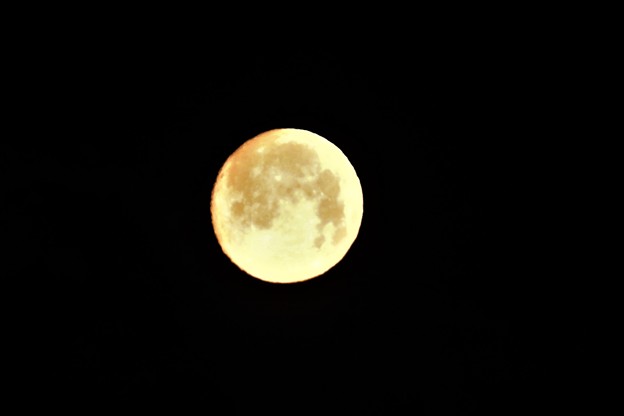 写真: 真ん丸のお月様