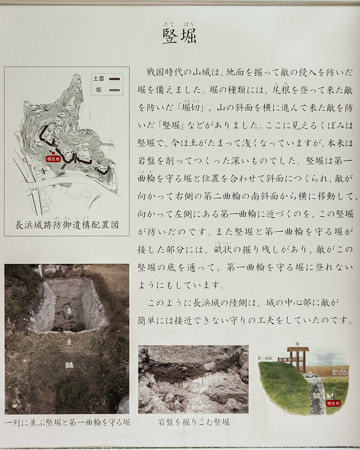 長浜城跡 竪堀の解説