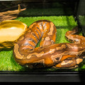Photos: マレーアカニシキヘビ