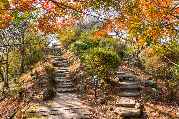 写真: さえずりの丘へ登る階段