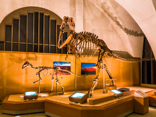 プロバクトロサウルスとタルボサウルス