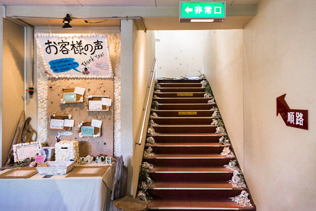写真: 淡島水族館 2Fへ続く階段