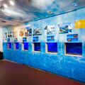 淡島水族館 2F深海生物の水槽