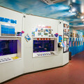 淡島水族館2Fの水槽