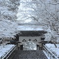 写真: 雪の円覚寺