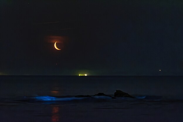 写真: 昇る月齢26日の月と岩礁に光る夜光虫