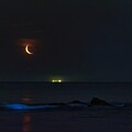 写真: 昇る月齢26日の月と岩礁に光る夜光虫