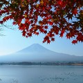 Photos: 富士山と紅葉1