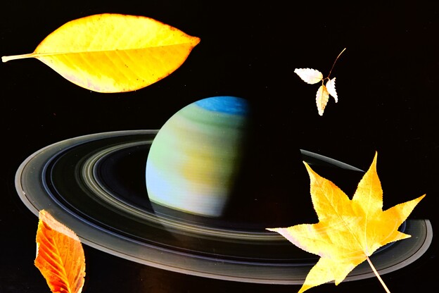 土星付近の落ち葉