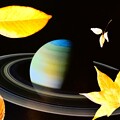 写真: 土星付近の落ち葉