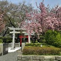 桜神社