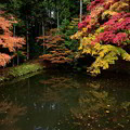 Photos: 池の水面に映る紅葉