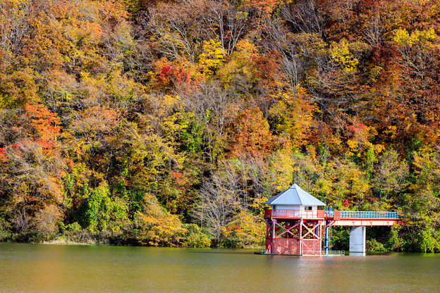 写真: ダム湖の紅葉