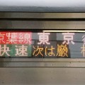 写真: 京葉線快速 東京
