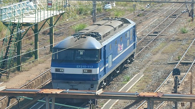 EF210-113