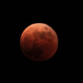 写真: 赤い満月