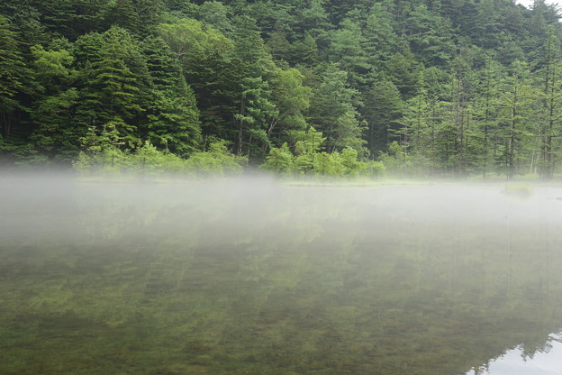 写真: 靄けぶる　池のほとりで　朝陽待つ