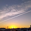 朝陽と飛行機雲