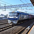 Photos: 桃太郎貨物列車