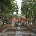 円覚寺ホントの入口