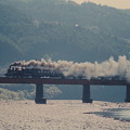 写真: 大井川第一鉄橋を行くC12 164