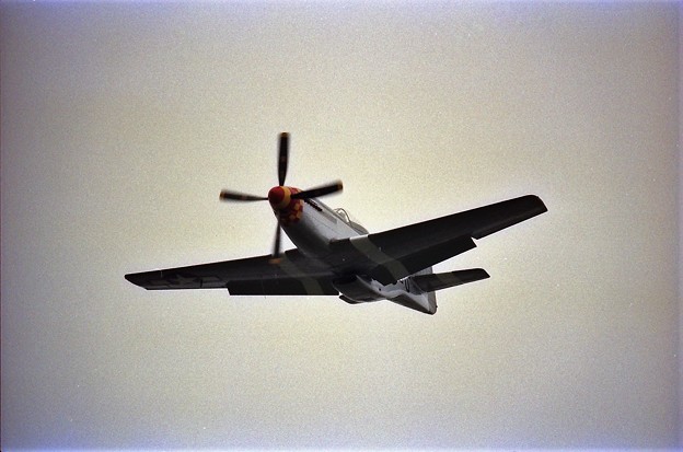 写真: フライト中のP-51D