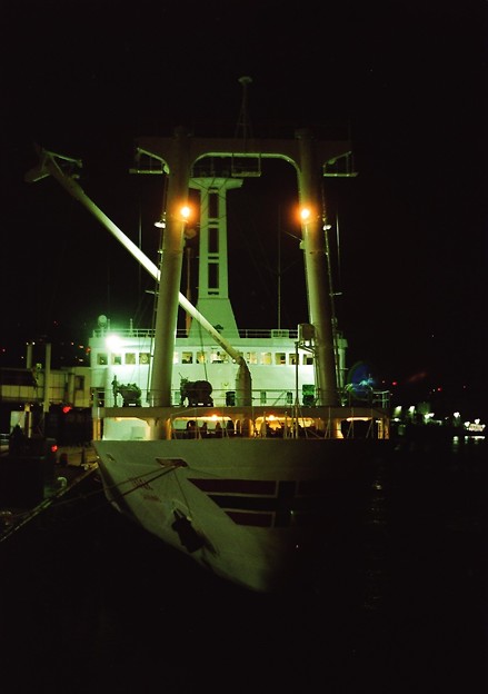 写真: 竹芝桟橋で荷役中の「さるびあ丸」