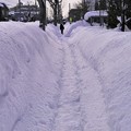 写真: 雪道１