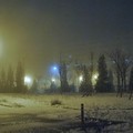 Photos: 雪のあと、霧が出てきた
