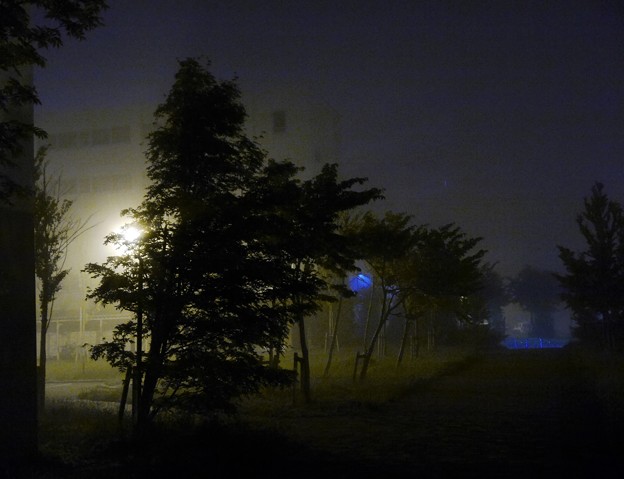 霧の夜２