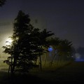 写真: 霧の夜２
