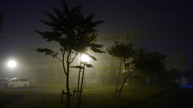 霧の夜３